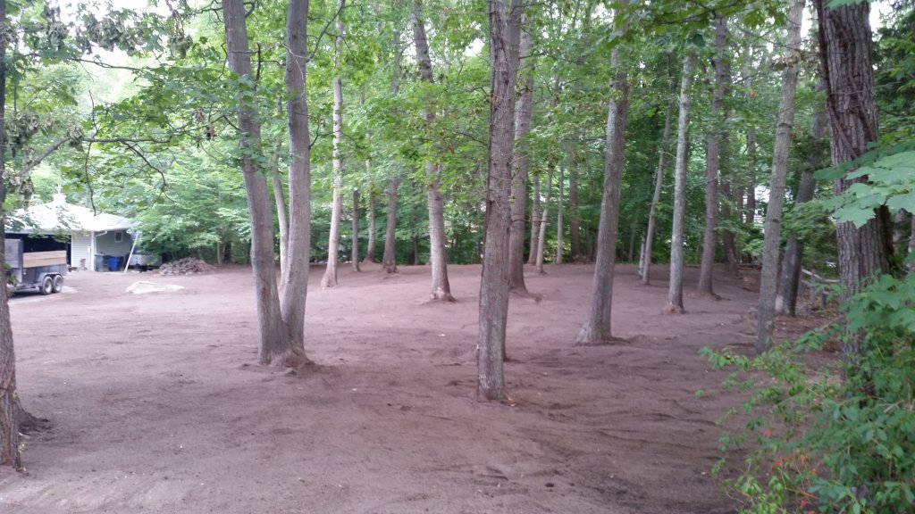 image-567150-20160728_182221.w640.jpg