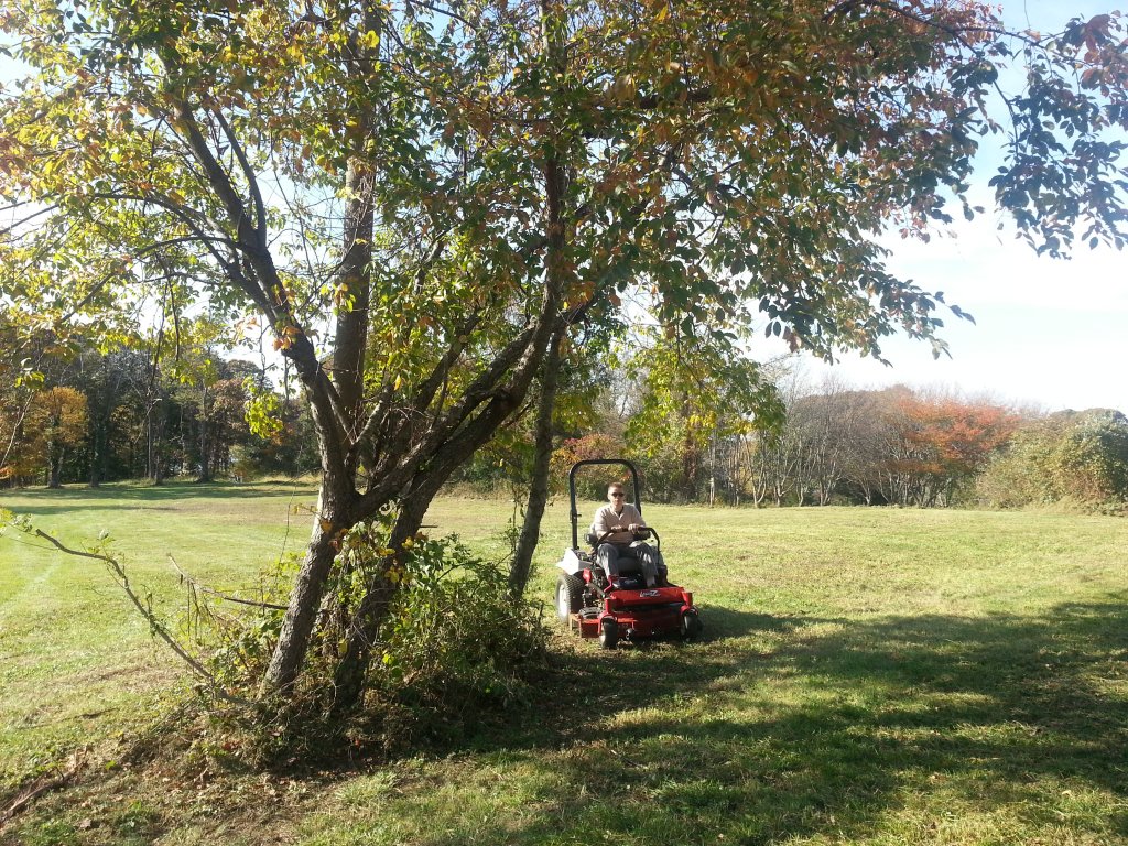 image-433361-20141104_132436.jpg